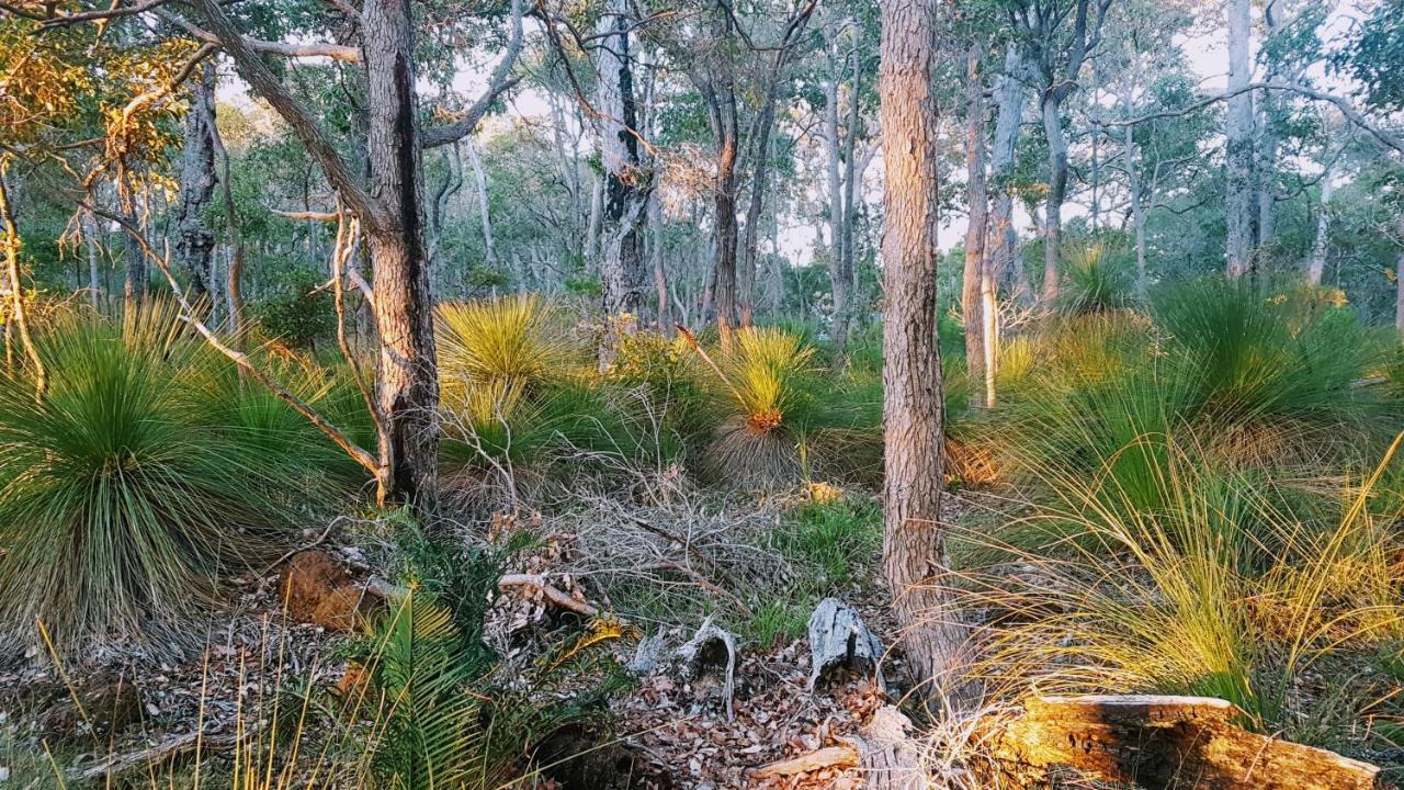 Bussells Bushland Cottages Margaret River Екстер'єр фото