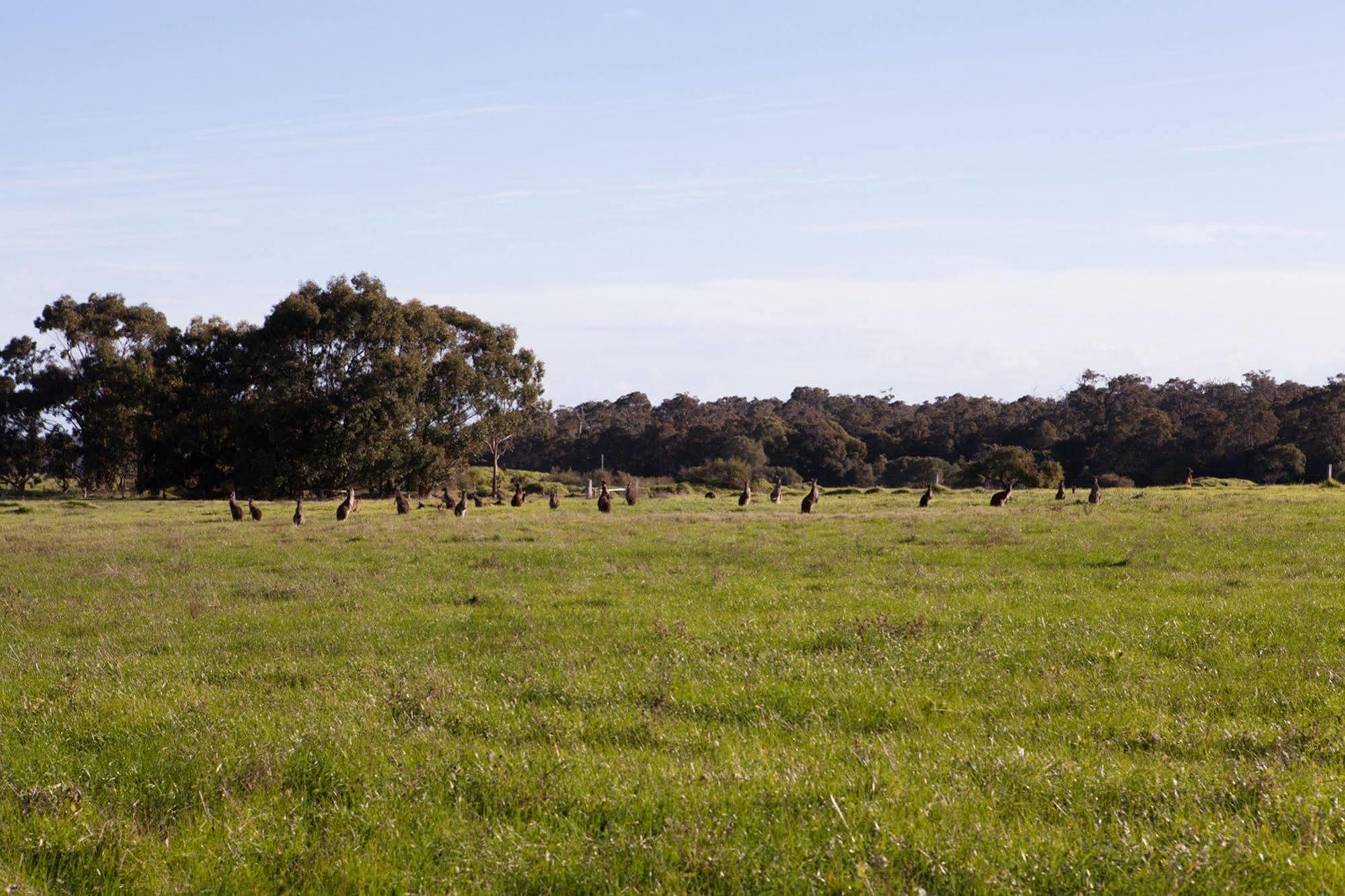Bussells Bushland Cottages Margaret River Екстер'єр фото